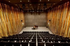 音樂(lè)廳吸音用什么材料好？