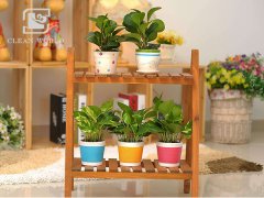 花架如何清潔？花架清潔小妙招